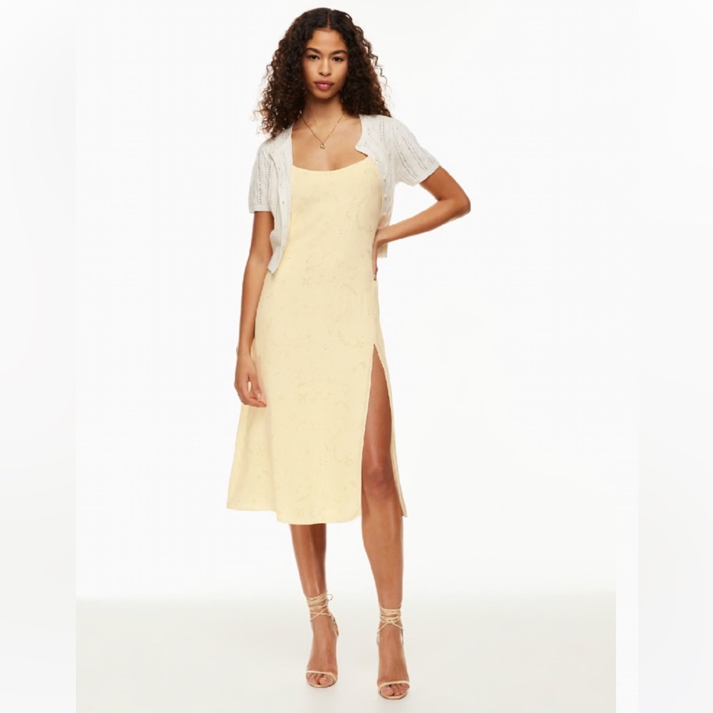Aritzia Wilfred Affogato Dress